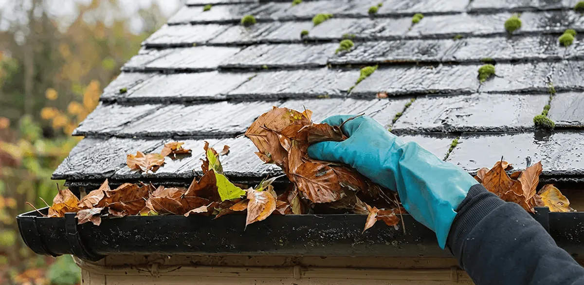 Gutter cleaning technician clearing wet leaves from roof gutters in Jackson, MS